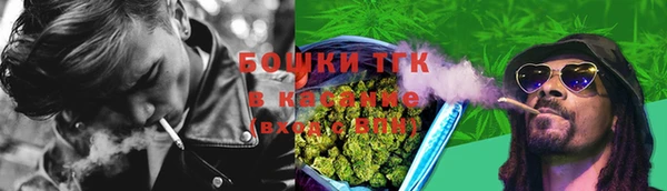 хмурый Нея