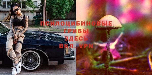 хмурый Нея