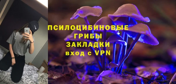 хмурый Нея