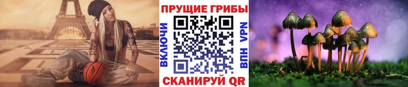 Псилоцибиновые грибы ЛСД  где можно купить наркотик  Фёдоровский 